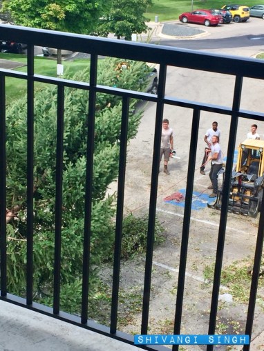 photo-20170116154648707